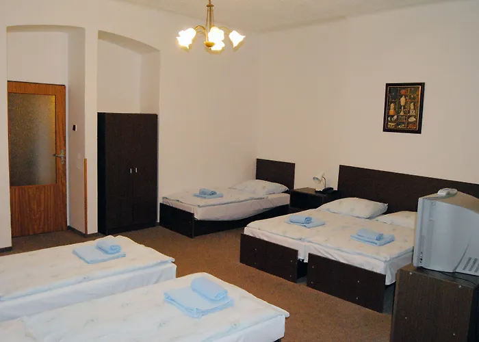 Olga Hotel 3*