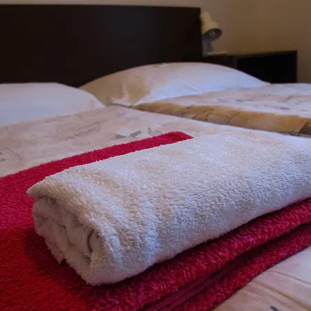 Olga Hotel 3*