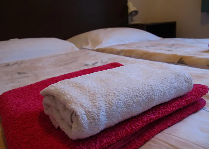 Olga Hotel 3*