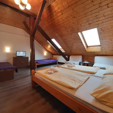 Olga Hotel Prag